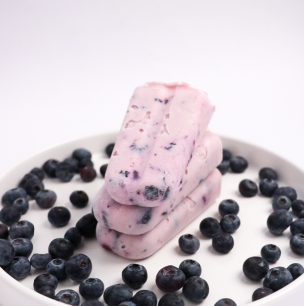 Blueberry Yoghurt Popsicle